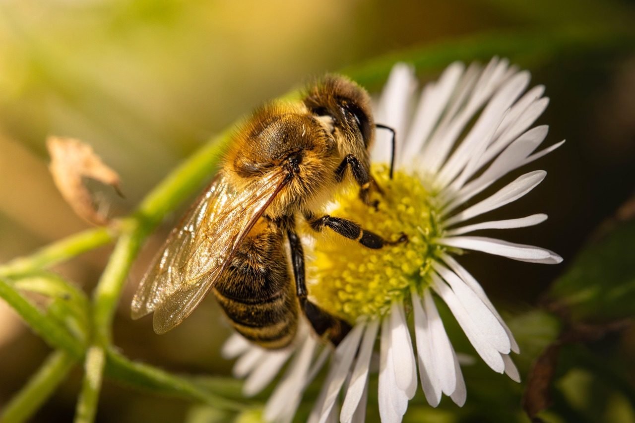 cleansip cwi, Community Welfare International Africa volunteer, Community Welfare International map volunteer, Community Welfare International continent volunteer, Community Welfare International South America volunteer, Community Welfare International Europe volunteer, Community Welfare International map of the world volunteer, Community Welfare International relief map volunteer, Community Welfare International elevation profile volunteer, Community Welfare International height structure volunteer, Community Welfare International coloured volunteer, Community Welfare International cartography volunteer, Community Welfare International mercator projection volunteer, Community Welfare International shading volunteer, Community Welfare International elevation map volunteer, Community Welfare International high relief volunteer, Community Welfare International high relief map volunteer, Community Welfare International topography volunteer, Community Welfare International Africa volunteer, Community Welfare International Africa volunteer, Community Welfare International Africa volunteer, Community Welfare International map volunteer, Community Welfare International South America volunteer, Community Welfare International South America volunteer, Community Welfare International South America volunteer, Community Welfare International South America volunteer, Community Welfare International South America volunteer, Community Welfare International topography volunteer, Community Welfare International topography volunteer